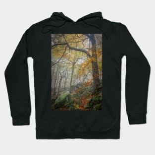 Autumn Trees and Rocks in Mist Hoodie